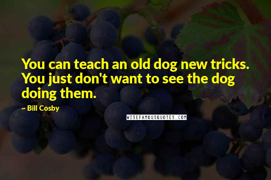 Bill Cosby quotes: You can teach an old dog new tricks. You just don't want to see the dog doing them.