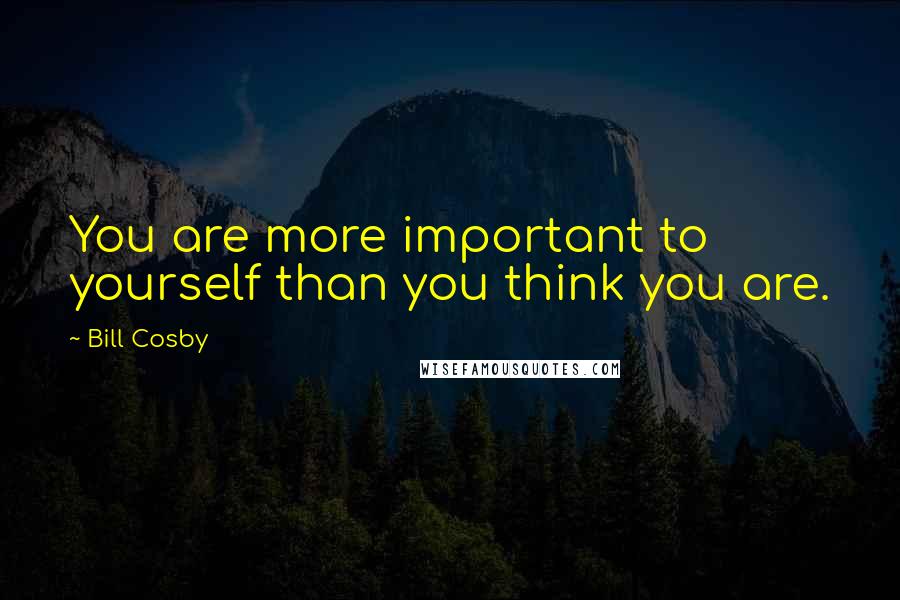 Bill Cosby quotes: You are more important to yourself than you think you are.