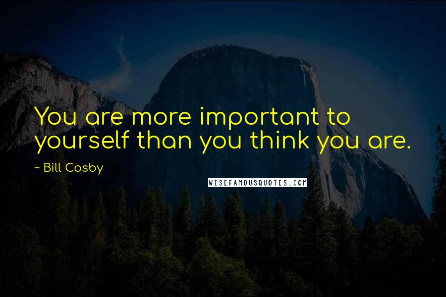 Bill Cosby quotes: You are more important to yourself than you think you are.