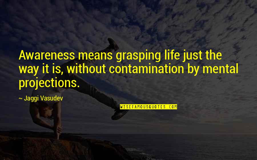 Bill Elliott Quotes By Jaggi Vasudev: Awareness means grasping life just the way it