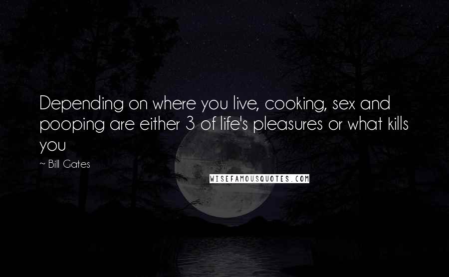 Bill Gates quotes: Depending on where you live, cooking, sex and pooping are either 3 of life's pleasures or what kills you