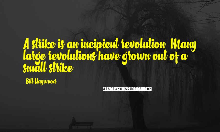 Bill Haywood quotes: A strike is an incipient revolution. Many large revolutions have grown out of a small strike.
