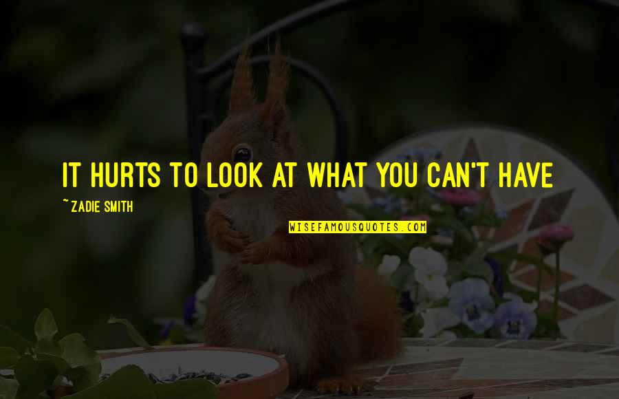 Bill Hodges Quotes By Zadie Smith: It hurts to look at what you can't