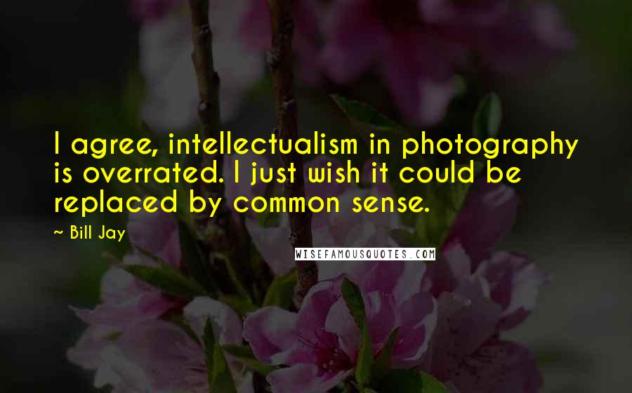 Bill Jay quotes: I agree, intellectualism in photography is overrated. I just wish it could be replaced by common sense.