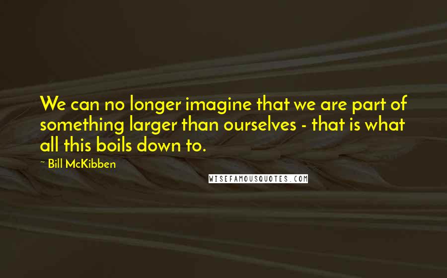 Bill McKibben quotes: We can no longer imagine that we are part of something larger than ourselves - that is what all this boils down to.