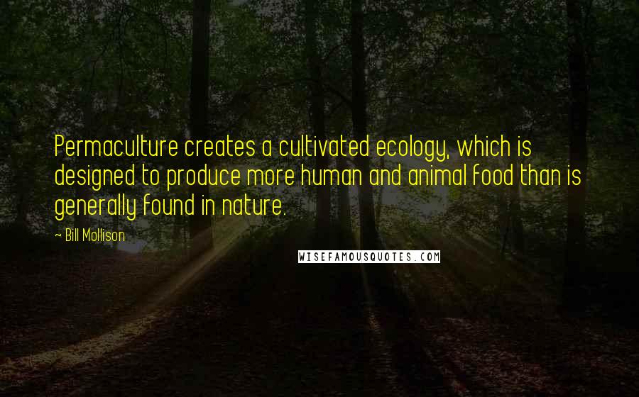 Bill Mollison quotes: Permaculture creates a cultivated ecology, which is designed to produce more human and animal food than is generally found in nature.