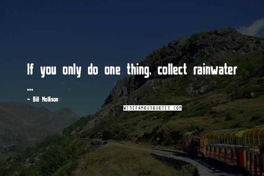 Bill Mollison quotes: If you only do one thing, collect rainwater ...