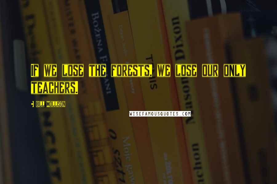 Bill Mollison quotes: If we lose the forests, we lose our only teachers.