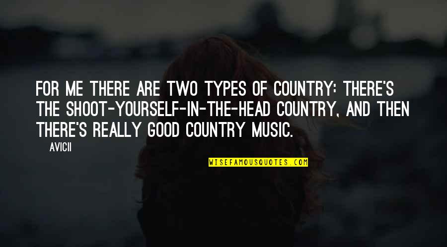 Bill Morrow Quotes By Avicii: For me there are two types of country: