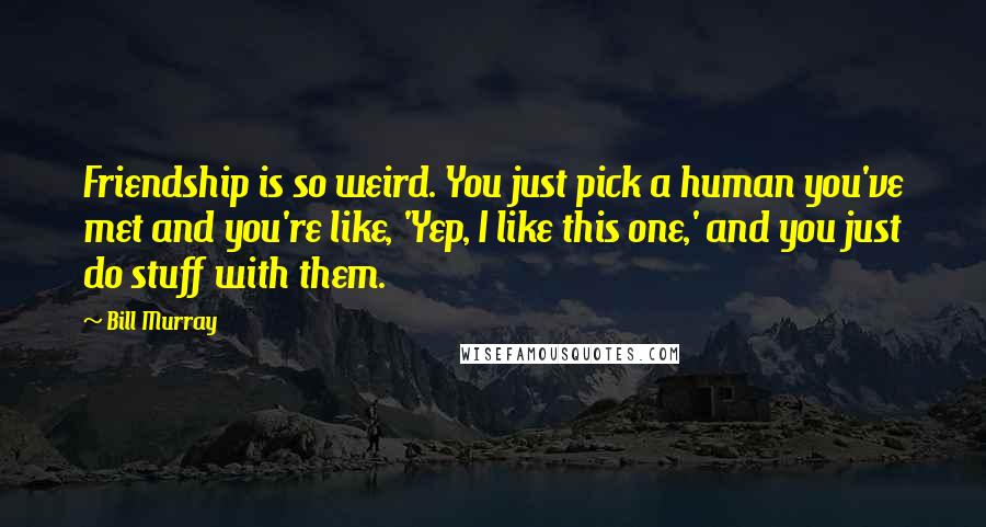 Bill Murray quotes: Friendship is so weird. You just pick a human you've met and you're like, 'Yep, I like this one,' and you just do stuff with them.