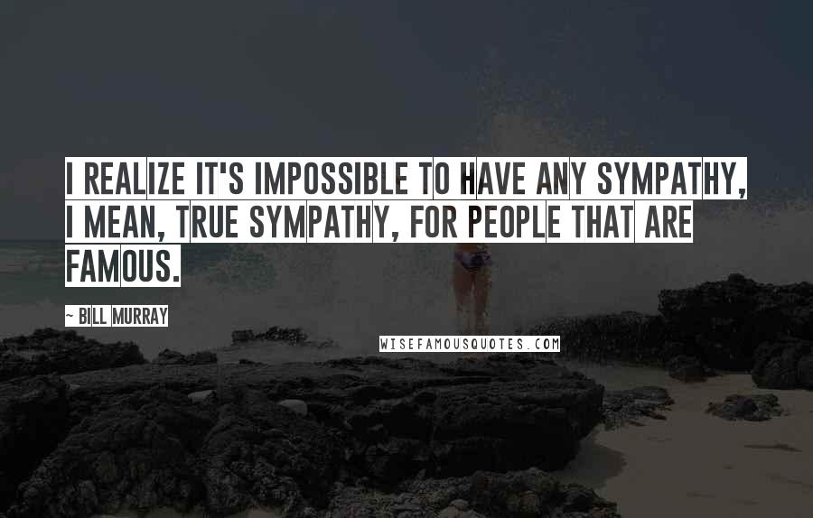 Bill Murray quotes: I realize it's impossible to have any sympathy, I mean, true sympathy, for people that are famous.