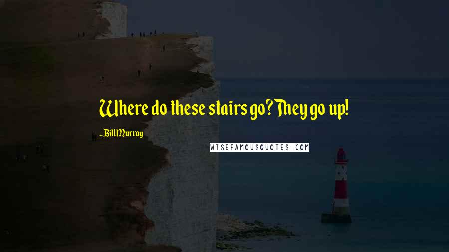 Bill Murray quotes: Where do these stairs go?They go up!