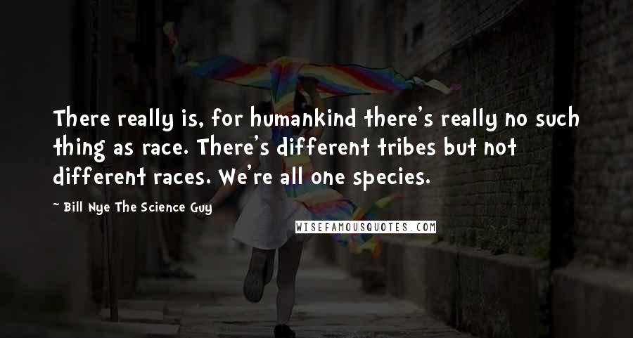 Bill Nye The Science Guy quotes: There really is, for humankind there's really no such thing as race. There's different tribes but not different races. We're all one species.