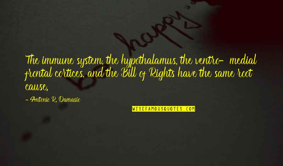 Bill Of Rights Quotes By Antonio R. Damasio: The immune system, the hypothalamus, the ventro-medial frontal