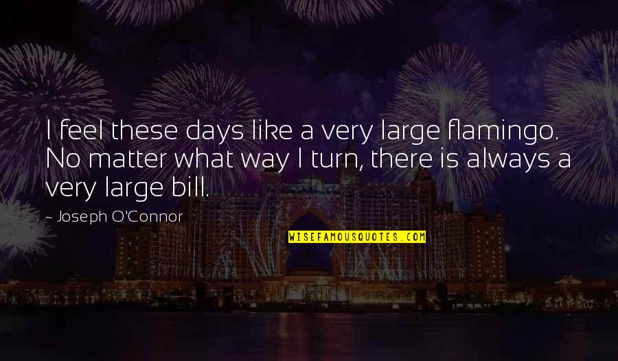 Bill O'hanlon Quotes By Joseph O'Connor: I feel these days like a very large Bill O'hanlon Quotes By Joseph O'Connor: I feel these days like a very large