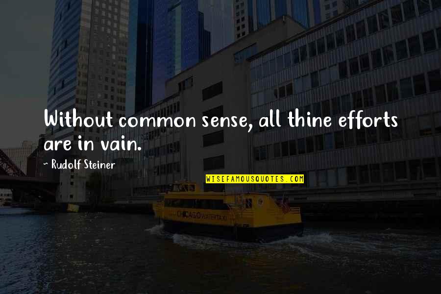 Bill Purvis Quotes By Rudolf Steiner: Without common sense, all thine efforts are in