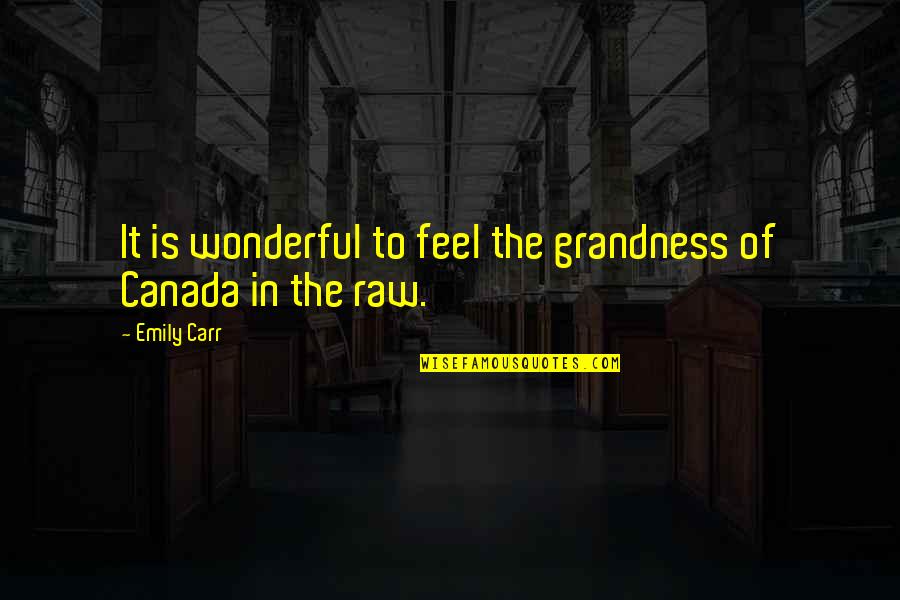 Bill Shank Quotes By Emily Carr: It is wonderful to feel the grandness of