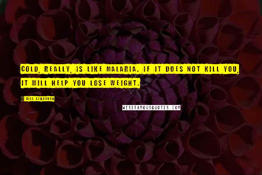 Bill Streever quotes: Cold, really, is like malaria. If it does not kill you, it will help you lose weight.