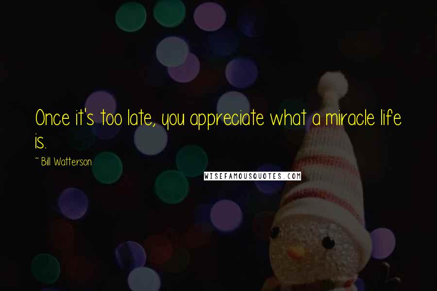 Bill Watterson quotes: Once it's too late, you appreciate what a miracle life is.