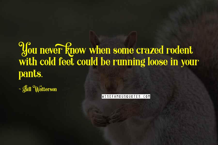 Bill Watterson quotes: You never know when some crazed rodent with cold feet could be running loose in your pants.