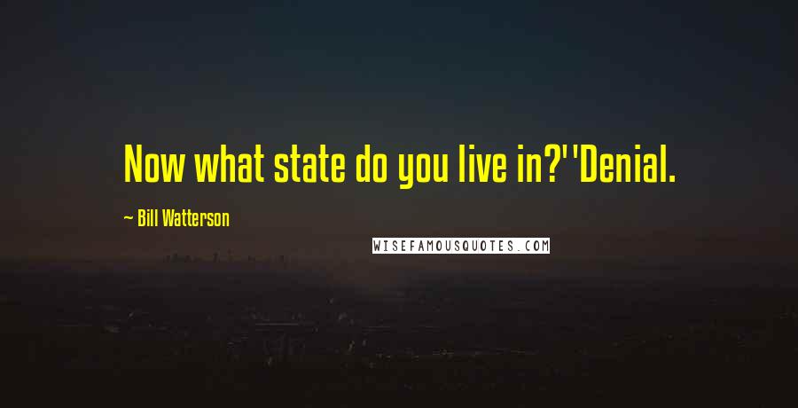Bill Watterson quotes: Now what state do you live in?''Denial.