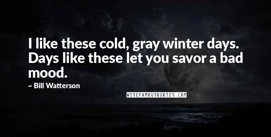 Bill Watterson quotes: I like these cold, gray winter days. Days like these let you savor a bad mood.