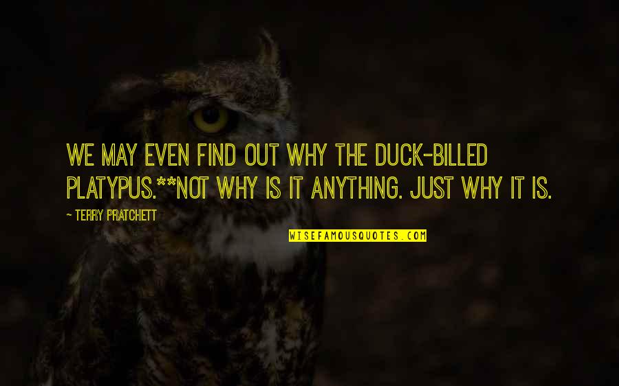 Billed Quotes By Terry Pratchett: We may even find out why the duck-billed