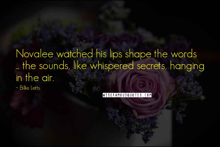 Billie Letts quotes: Novalee watched his lips shape the words ... the sounds, like whispered secrets, hanging in the air.