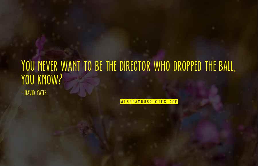 Billodeau Plumbing Quotes By David Yates: You never want to be the director who