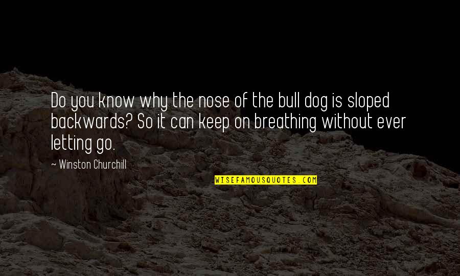 Billowing Quotes By Winston Churchill: Do you know why the nose of the