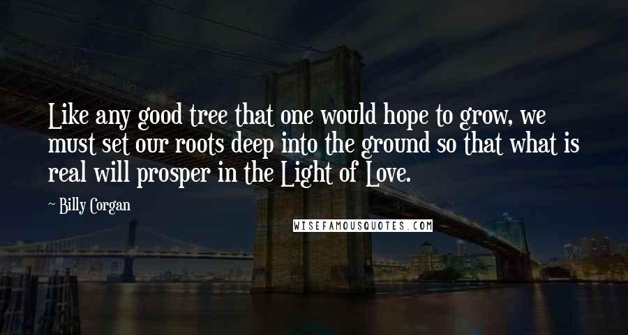 Billy Corgan quotes: Like any good tree that one would hope to grow, we must set our roots deep into the ground so that what is real will prosper in the Light of