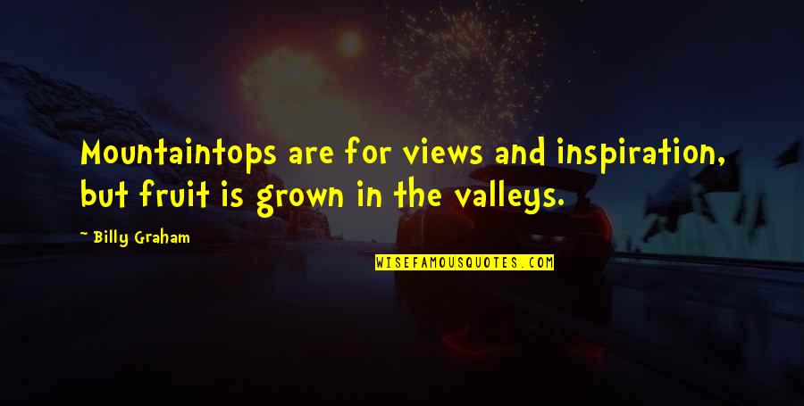 Billy Graham In Quotes By Billy Graham: Mountaintops are for views and inspiration, but fruit