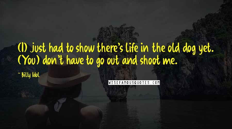 Billy Idol quotes: (I) just had to show there's life in the old dog yet. (You) don't have to go out and shoot me.