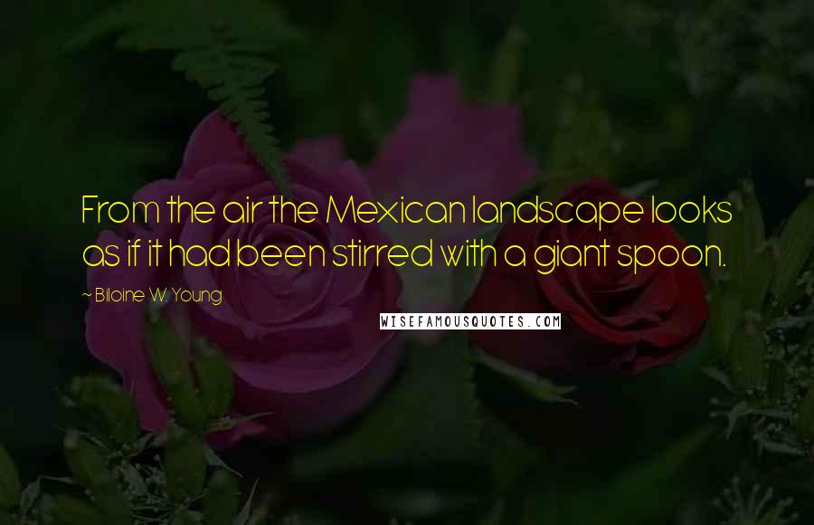 Biloine W. Young quotes: From the air the Mexican landscape looks as if it had been stirred with a giant spoon.