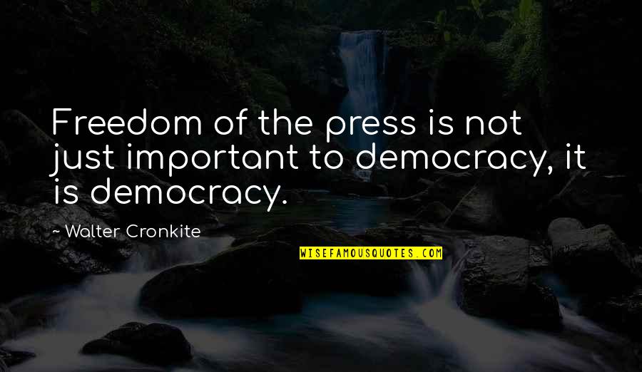 Bilyeu Cpa Quotes By Walter Cronkite: Freedom of the press is not just important