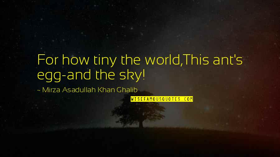 Binaural Beats For Powerful Eyrphoric Quotes By Mirza Asadullah Khan Ghalib: For how tiny the world,This ant's egg-and the
