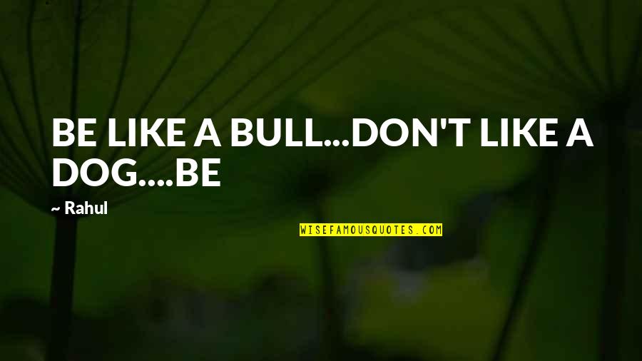 Binaural Beats For Sleep Quotes By Rahul: BE LIKE A BULL...DON'T LIKE A DOG....BE