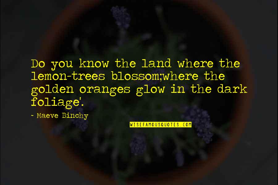 Binchy Quotes By Maeve Binchy: Do you know the land where the lemon-trees