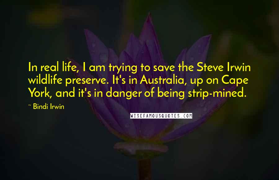 Bindi Irwin quotes: In real life, I am trying to save the Steve Irwin wildlife preserve. It's in Australia, up on Cape York, and it's in danger of being strip-mined.