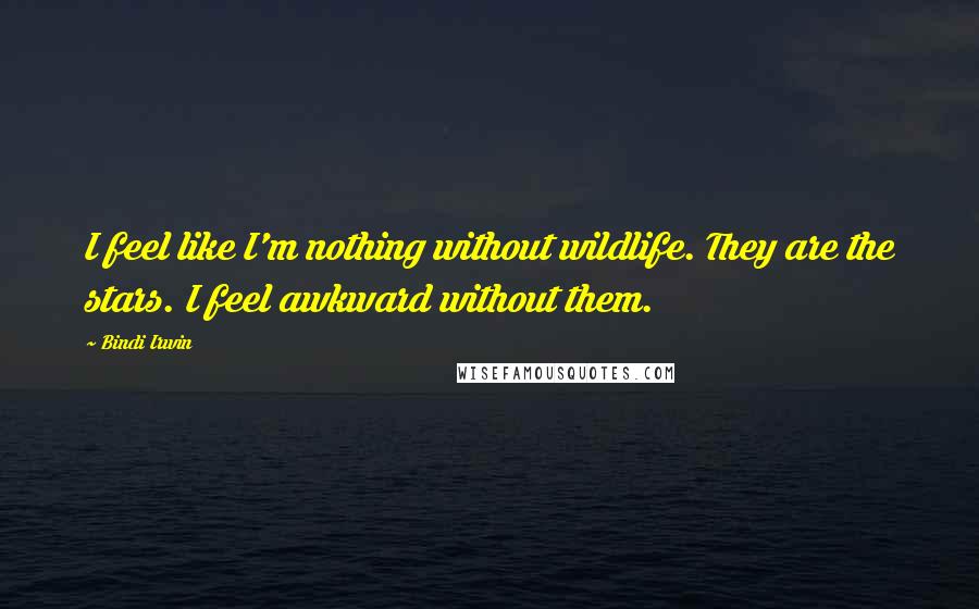 Bindi Irwin quotes: I feel like I'm nothing without wildlife. They are the stars. I feel awkward without them.