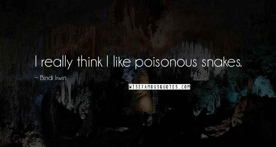 Bindi Irwin quotes: I really think I like poisonous snakes.