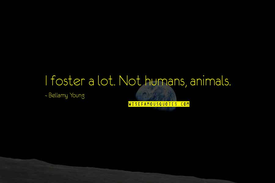 Bindlestiffs Quotes By Bellamy Young: I foster a lot. Not humans, animals.