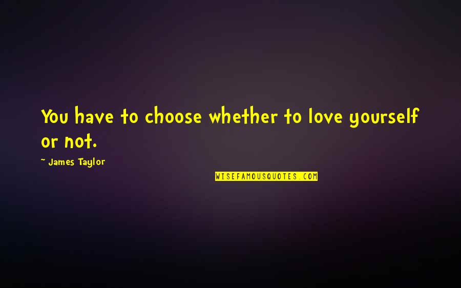 Binele Dex Quotes By James Taylor: You have to choose whether to love yourself