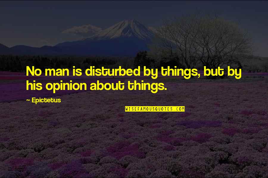 Binet School Quotes By Epictetus: No man is disturbed by things, but by
