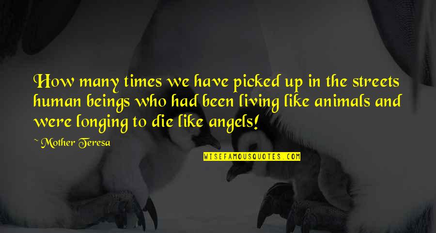 Binmek Quotes By Mother Teresa: How many times we have picked up in Binmek Quotes By Mother Teresa: How many times we have picked up in