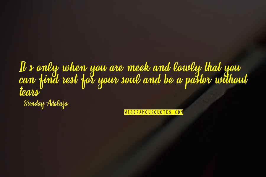 Binns Harry Quotes By Sunday Adelaja: It's only when you are meek and lowly Binns Harry Quotes By Sunday Adelaja: It's only when you are meek and lowly