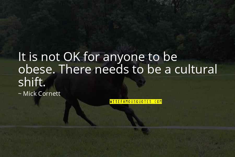 Bintz Ponca Quotes By Mick Cornett: It is not OK for anyone to be