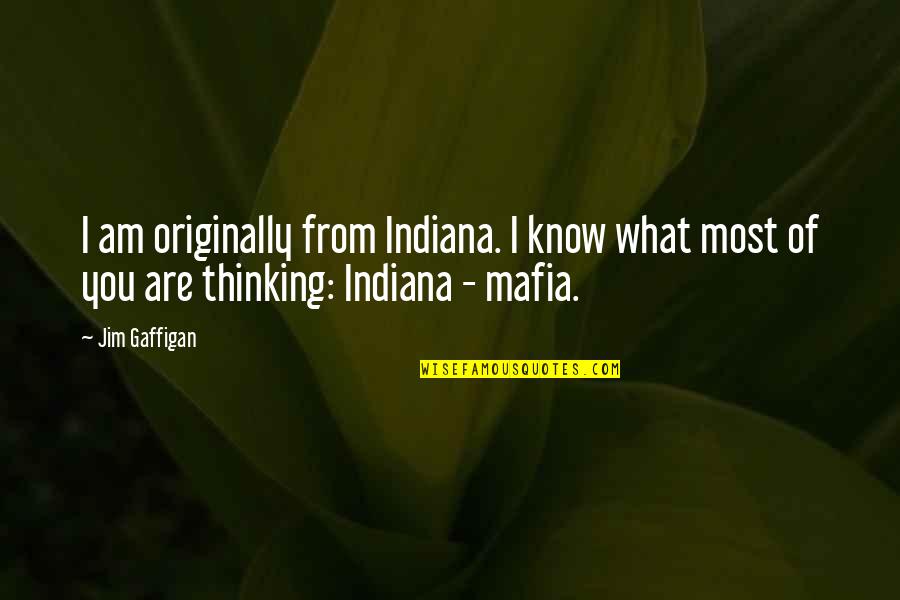 Bio For Myself Quotes By Jim Gaffigan: I am originally from Indiana. I know what