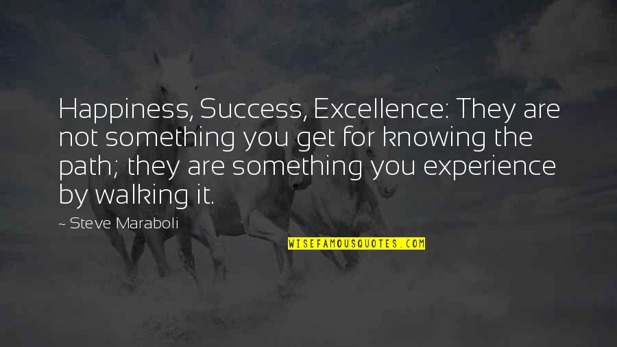 Bioacoustics Conference Quotes By Steve Maraboli: Happiness, Success, Excellence: They are not something you
