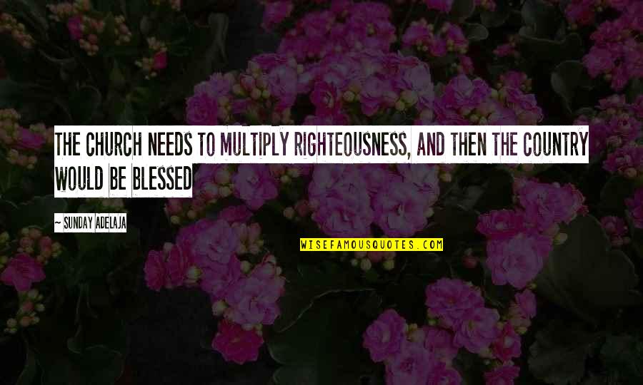 Bioacoustics Conference Quotes By Sunday Adelaja: The church needs to multiply righteousness, and then